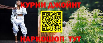 шишки Коммунар