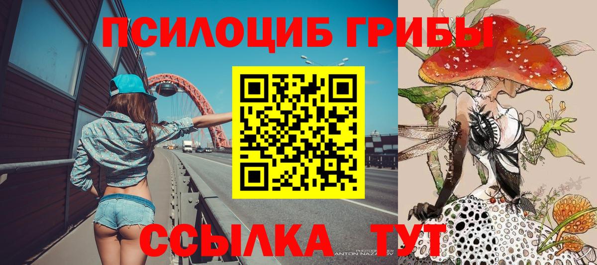 Псилоцибиновые грибы MAGIC MUSHROOMS  Вход с VPN  Красноярск 